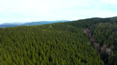 Dağların ve ormanların güzel manzaralı ormanların üzerinde güzel İHA uçuşları