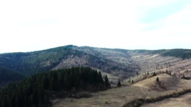 Dağların ve ormanların güzel manzaralı ormanların üzerinde güzel İHA uçuşları