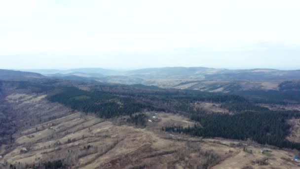 Piękne Loty Dronem Nad Lasami Pięknym Widokiem Góry Lasy — Wideo stockowe