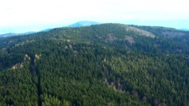Dağların ve ormanların güzel manzaralı ormanların üzerinde güzel İHA uçuşları