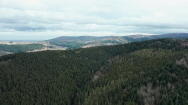 Dağların ve ormanların güzel manzaralı ormanların üzerinde güzel İHA uçuşları