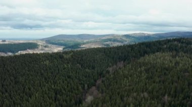 Dağların ve ormanların güzel manzaralı ormanların üzerinde güzel İHA uçuşları