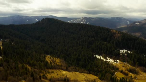 Mooie Drone Vluchten Bossen Met Prachtig Uitzicht Bergen Bossen — Stockvideo