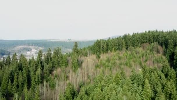 Bellissimi Voli Drone Sopra Foreste Con Una Splendida Vista Sulle — Video Stock