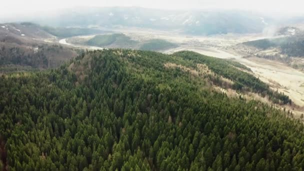 Krásné Bezpilotní Lety Nad Lesy Krásným Výhledem Hory Lesy — Stock video