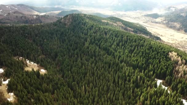 Schöne Drohnenflüge Über Wäldern Mit Schöner Aussicht Auf Berge Und — Stockvideo