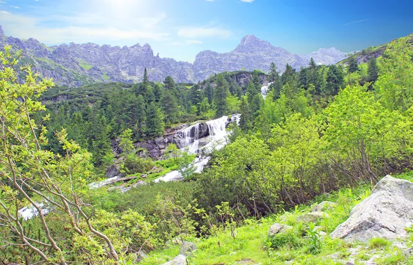 El gran estanque en las montañas polacas: las montañas Tatra. Parque Nacional Tatra —  Fotos de Stock