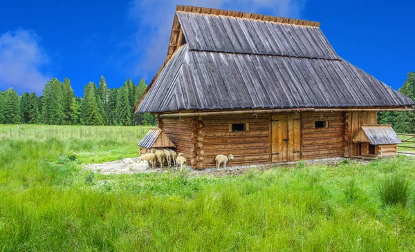 Holzhaus Auf Der Grünen Wiese Mit Tatry Mountains Hintergrund Sommer — Stockfoto