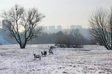 Kış kenti parkındaki banklar. Grudziadz. Polonya