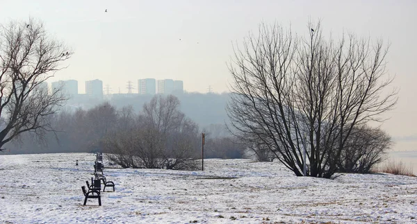 冬の都市公園にベンチ グリュジアデス ポーランド — ストック写真