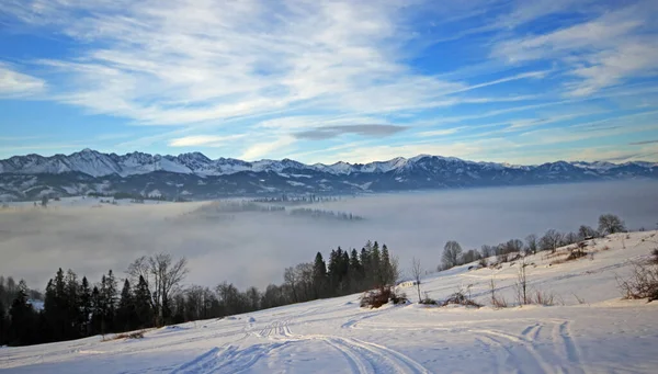 Vacker Vinter Landskap Bukowina Tatrzanska — Stockfoto