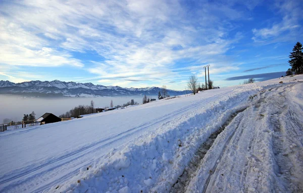 Bellissimo Paesaggio Invernale Bukowina Tatrzanska — Foto Stock