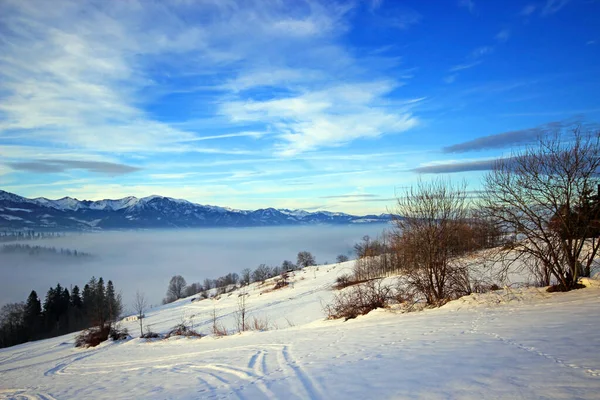 Vacker Vinter Landskap Bukowina Tatrzanska — Stockfoto