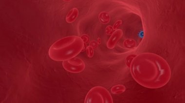 Coronavirus Covid 19 'a saldırın. Kırmızı kan hücreli bir arterin içinde.
