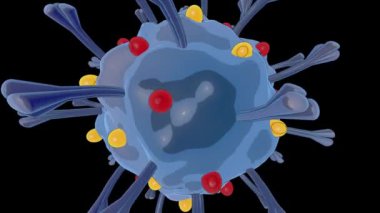 Coronavirus Covid 193D Zoom Out with Luma Matte