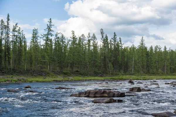 Lindas corredeiras no rio. Sibéria Oriental. Território de Krasnoyarsk — Fotografia de Stock