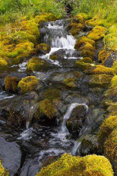 Agua entre rocas y musgo. Siberia, Krasnoyarsk el territorio . —  Fotos de Stock