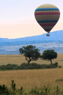 Savana üzerinde gökyüzü ile yolculuk. Masai Mara, Kenya