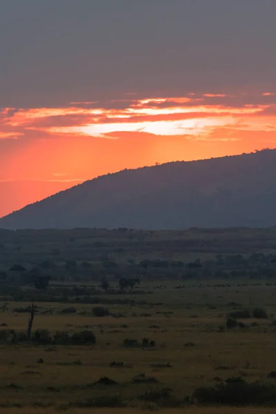 Zonsondergang over de savanne. Kenia, Afrika — Stockfoto