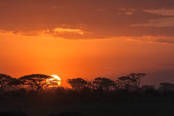 African sunrise. Amboseli, Kenya — Stock Photo, Image