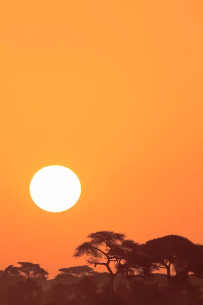 Sonnenuntergang in Amboseli. kenia, afrika — Stockfoto