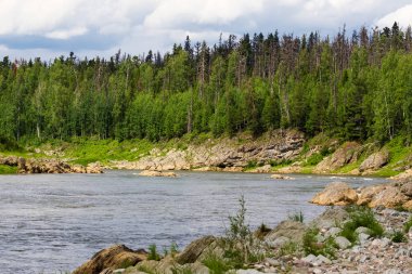 Bir küçük büyük kolu Yenisey Irmağı. Krasnoyarsk bölgesi, Rusya Federasyonu