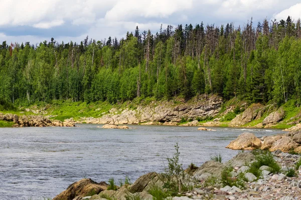 Bir küçük büyük kolu Yenisey Irmağı. Krasnoyarsk bölgesi, Rusya Federasyonu