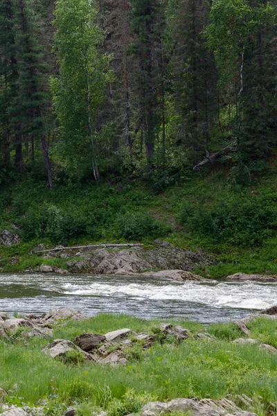 Sibirya nehir. Yenisey Irmağı küçük kolu. Krasnoyarsk Bölgesi, Rusya Federasyonu