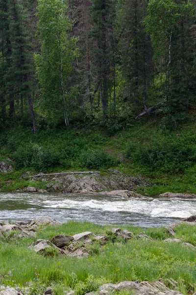 Su akışı. Taş ve kaya suya. Krasnoyarsk Bölgesi, Rusya Federasyonu
