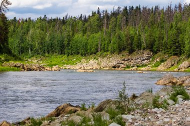Yenisey Irmağı büyük bir kolu. Krasnoyarsk Bölgesi, Rusya Federasyonu