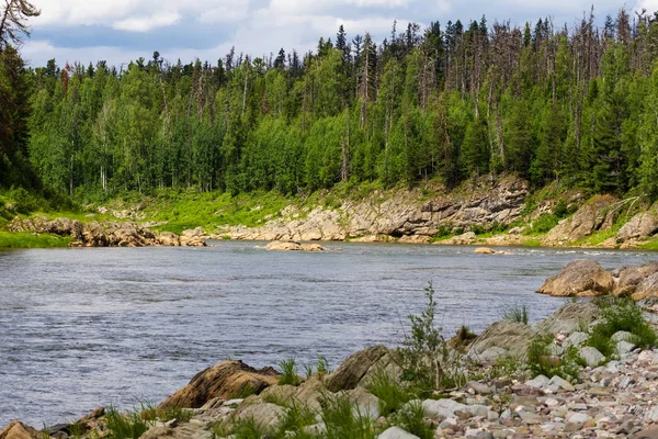 Yenisey Irmağı büyük bir kolu. Krasnoyarsk Bölgesi, Rusya Federasyonu