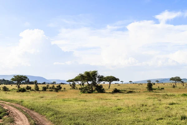 Θολό Τοπίο Serengeti Τανζανία Αφρική — Φωτογραφία Αρχείου