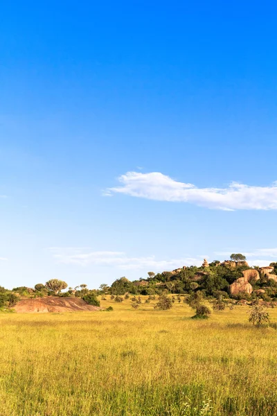 Пейзажи Серенгети Танзания Африка — стоковое фото