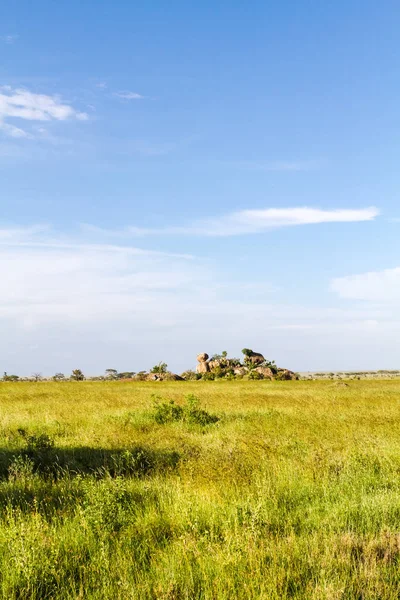 Niekończące Się Sawanna Serengeti Tanzania Afryka — Zdjęcie stockowe