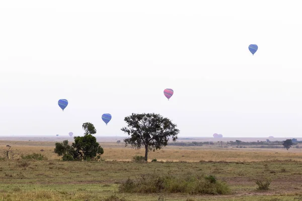 Masai Mara Panoraması Sabah Balonlar Savana Üzerinde Kenya — Stok fotoğraf