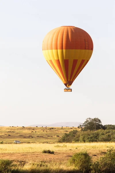 Een Ballon Boven Grote Vlakte Van Masai Mara Kenia — Gratis stockfoto