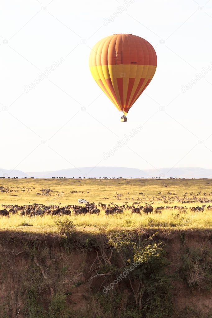 In a balloon over the great herds of Africa. Kenya