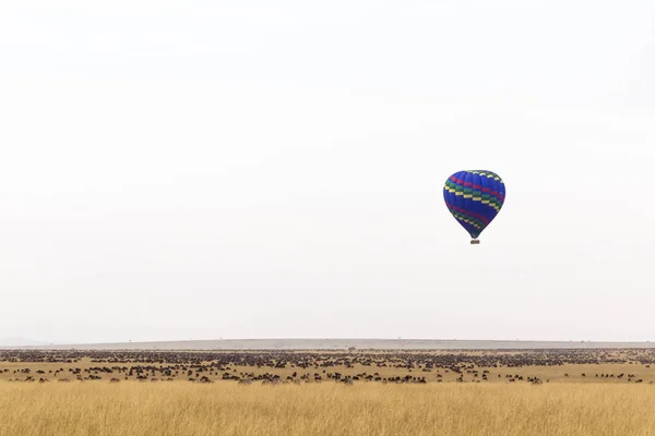 Globo Sobre Sabana Masai Mara Kenia — Foto de Stock