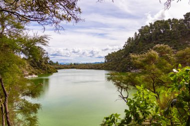 Wai-o-tapu Termal Parkı. Yeşil göl. Kuzey adası. Yeni Zelanda