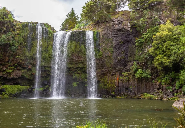 Whangarei Waterfall North Island New Zealand — Stock Photo, Image