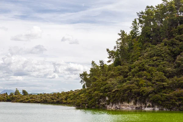 ワイの風景 Tapu熱公園 緑の湖 北の島 ニュージーランド — ストック写真