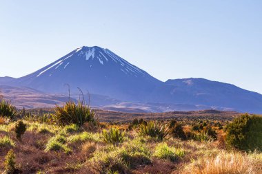 Üç Volkan Vadisi. Kuzey Adası. Yeni Zelanda