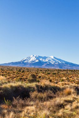 Tongariro Ulusal Parkı. Dağ portresi. Üç Volkan Vadisi. Kuzey Adası. Yeni Zelanda