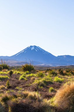 Tongariro Dağı. Üç Volkan Vadisi. Kuzey Adası. Yeni Zelanda