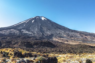Dağ portresi. Tongariro Ulusal Parkı. Kuzey Adası. Yeni Zelanda