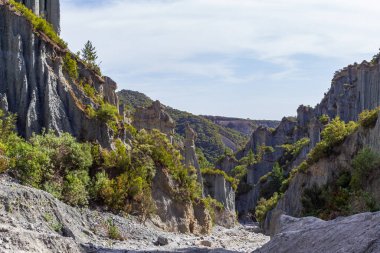 Putangirua Pinnacles 'ın güzelliği. Kuzey Adası, Yeni Zelanda 'nın sarp kayalıkları