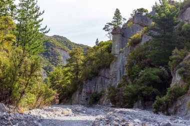 Doğanın güzelliği. Taş parmak. Putangirua Pinnacles 'ın liffleri. Yeni Zelanda