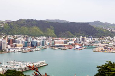 Wellington şehrinin manzarası. Kuzey Adası, Yeni Zelanda