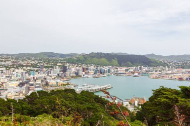 Wellington şehrinin en iyi manzarası. Yeni Zelanda