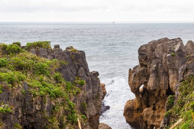 Taş asmak. Paparoa Ulusal Parkı, Güney Adası, Yeni Zelanda